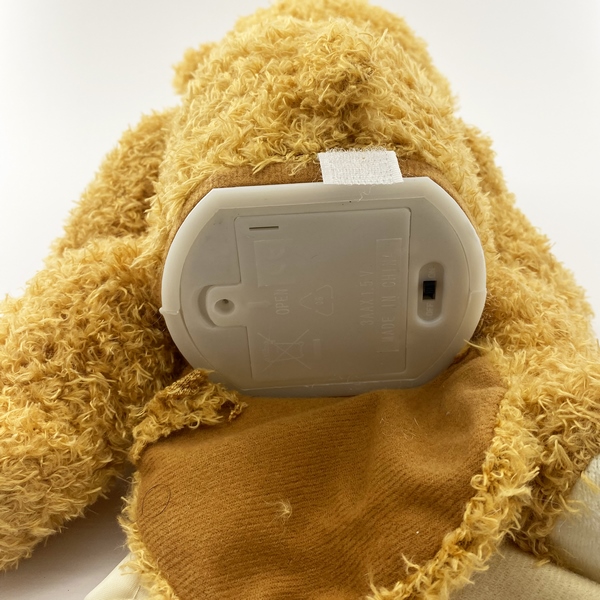 عروسک خرس دالی 